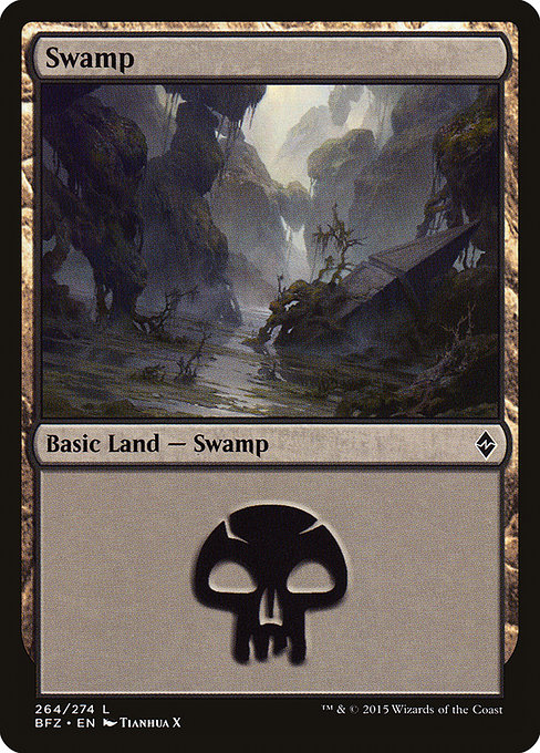 Swamp - Battle for Zendikar Common Card