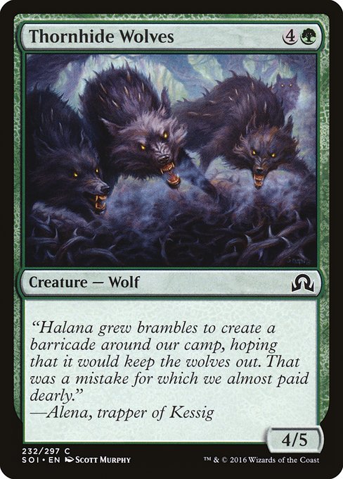 Thornhide Wolves - Shadows over Innistrad Common Card
