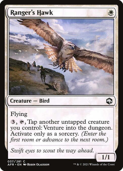 Ranger's Hawk - Adventures in the Forgotten Realms Common Card