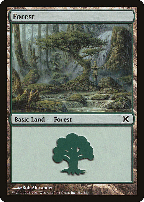 Forest - Tenth Edition Common Card