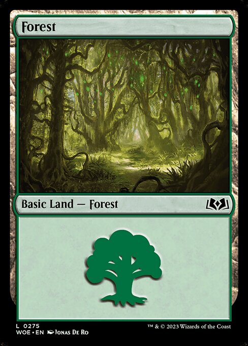 Forest - Wilds of Eldraine Common Card