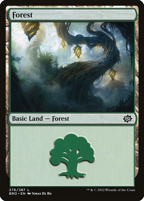 Forest - The Brothers' War Common Card