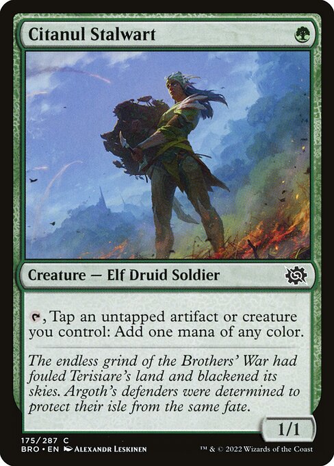 Citanul Stalwart - The Brothers' War Common Card