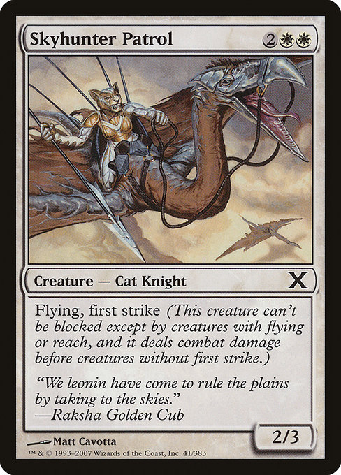Skyhunter Patrol - Tenth Edition Common Card