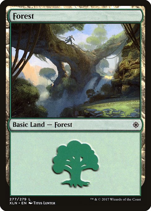 Forest - Ixalan Common Card