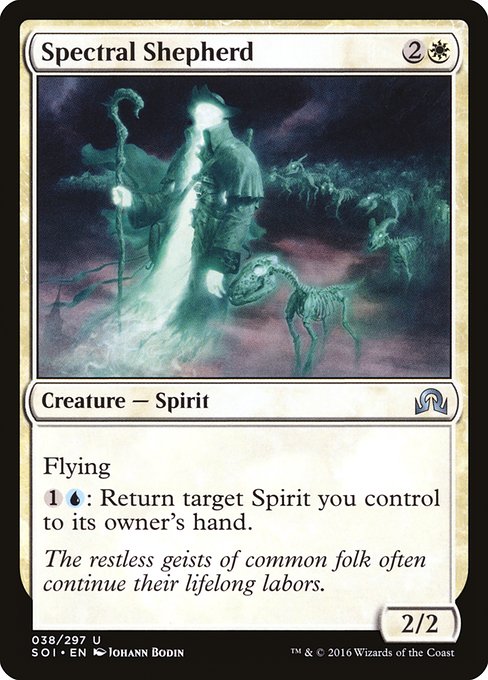 Spectral Shepherd - Shadows over Innistrad Uncommon Card