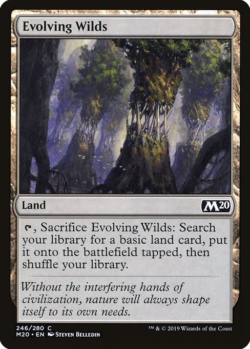Evolving Wilds - Core Set 2020 Common Card