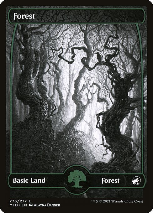 Forest - Innistrad: Midnight Hunt Common Card