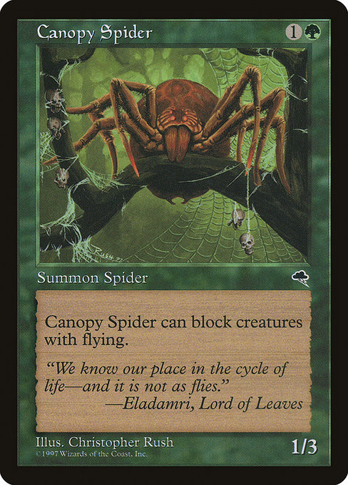 Canopy Spider - Tempest Common Card