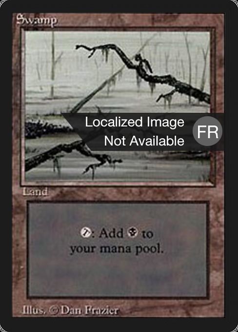 Swamp - Foreign Black Border Common Card