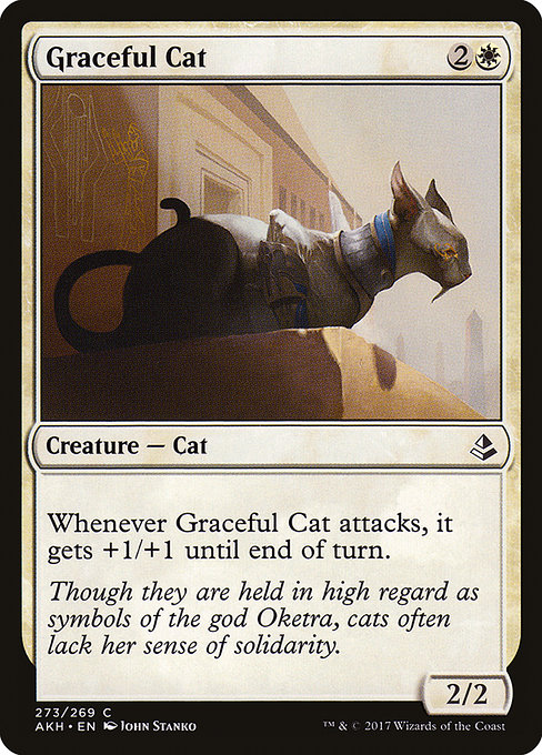 Graceful Cat - Amonkhet Common Card
