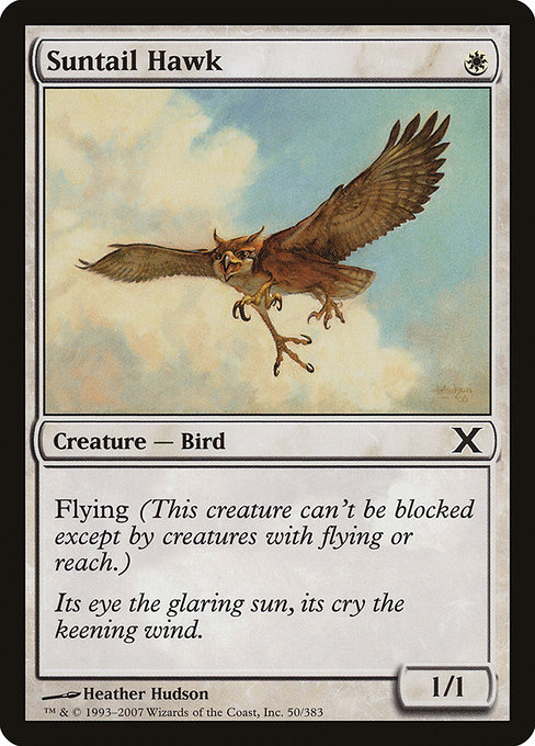 Suntail Hawk - Tenth Edition Common Card