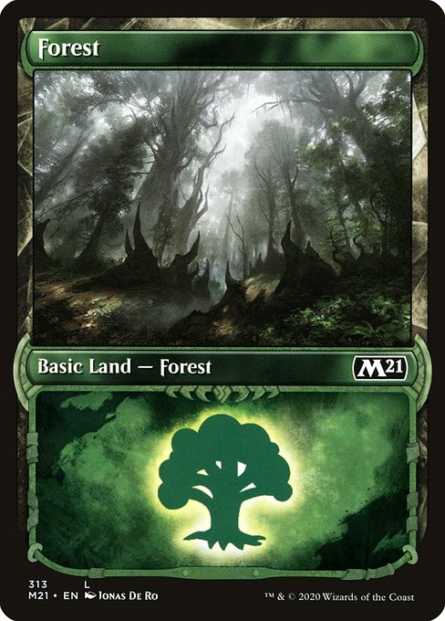 Forest - Core Set 2021 Common Card