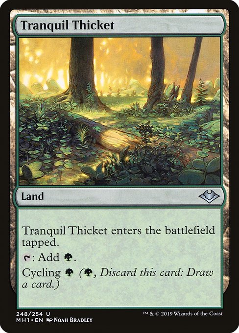Tranquil Thicket - Modern Horizons Uncommon Card