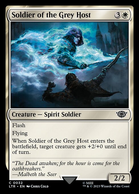 Soldier of the Grey Host - The Lord of the Rings: Tales of Middle-earth Common Card
