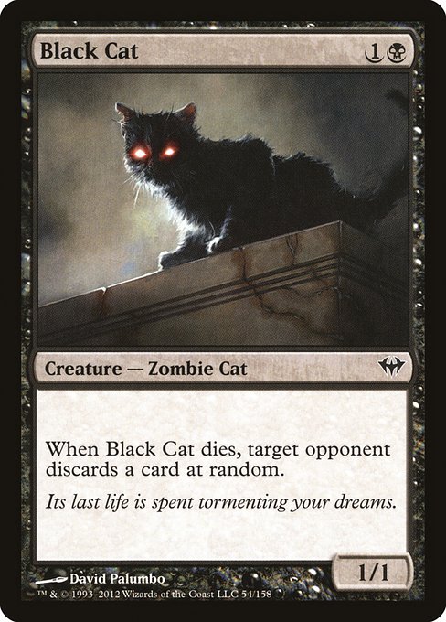 Black Cat - Dark Ascension Common Card