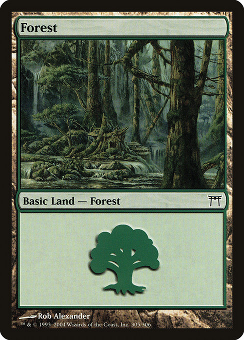 Forest - Champions of Kamigawa Common Card