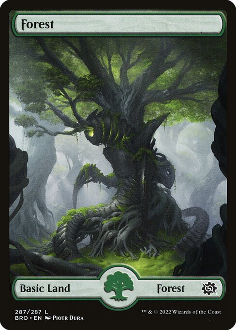 Forest - The Brothers' War Common Card