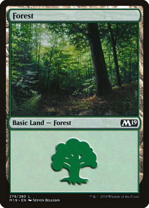 Forest - Core Set 2019 Common Card