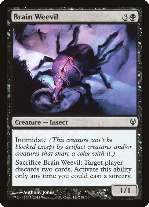 Brain Weevil - Duel Decks: Izzet vs. Golgari Common Card