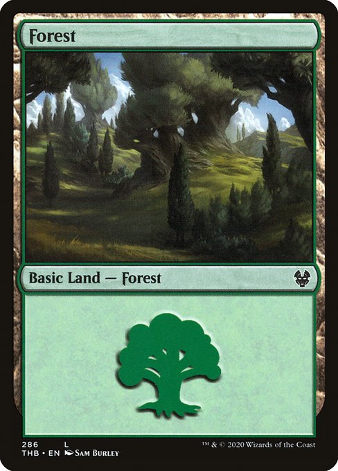 Forest - Theros Beyond Death Common Card