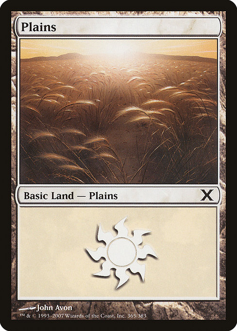 Plains - Tenth Edition Common Card