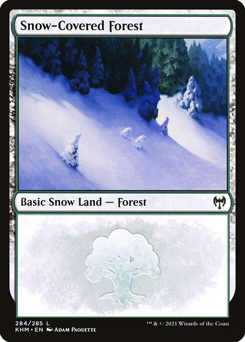 Snow-Covered Forest - Kaldheim Common Card