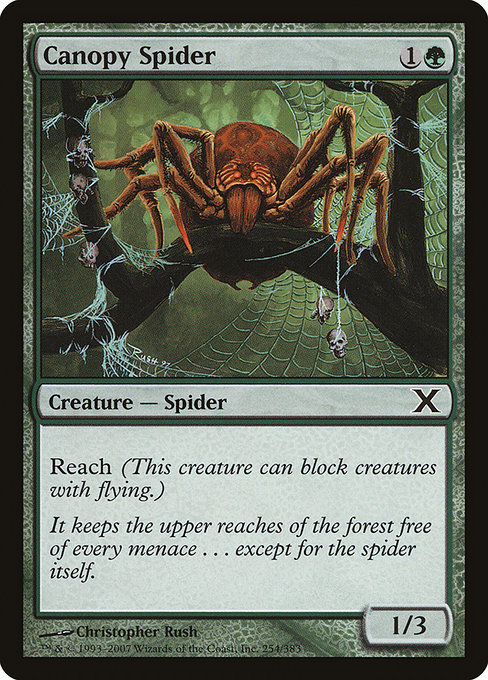 Canopy Spider - Tenth Edition Common Card