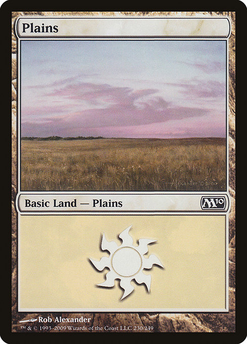 Plains - Magic 2010 Common Card