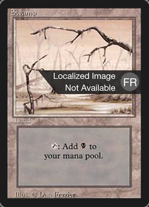 Swamp - Foreign Black Border Common Card