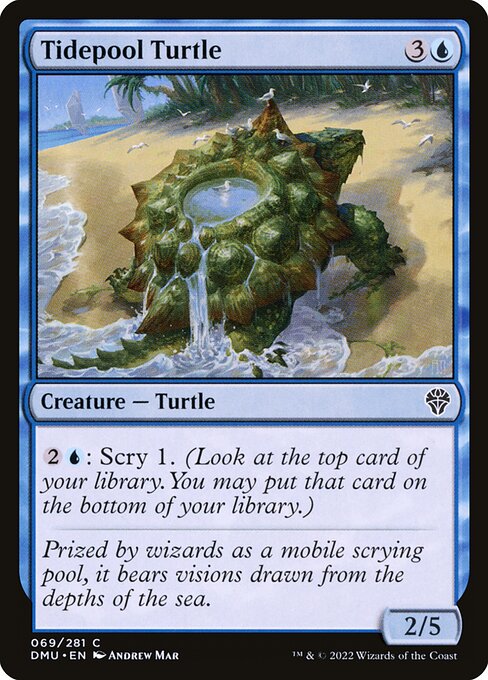 Tidepool Turtle - Dominaria United Common Card