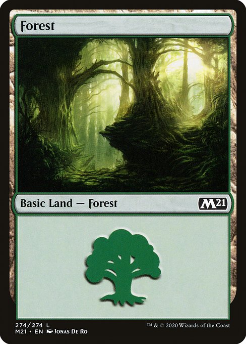 Forest - Core Set 2021 Common Card