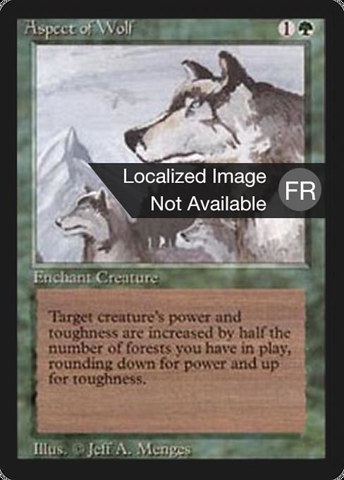 Aspect of Wolf - Foreign Black Border Rare Card