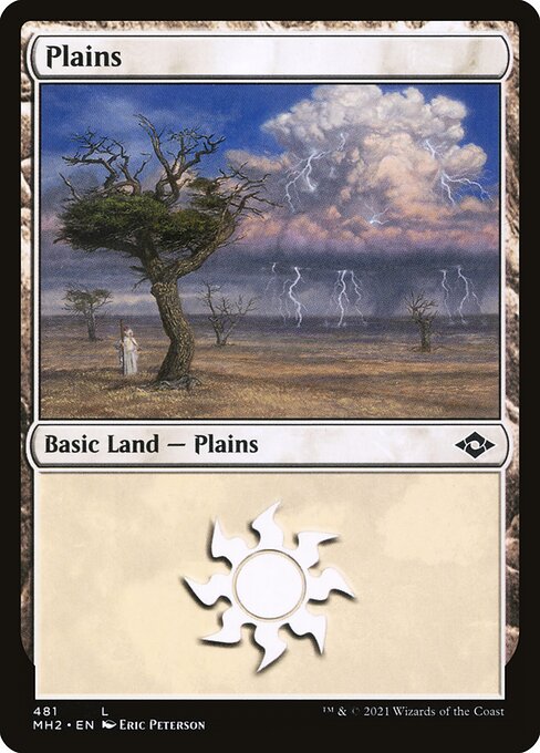 Plains - Modern Horizons 2 Common Card