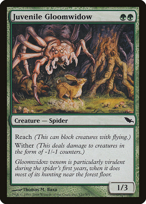Juvenile Gloomwidow - Shadowmoor Common Card