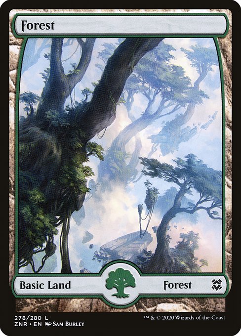 Forest - Zendikar Rising Common Card