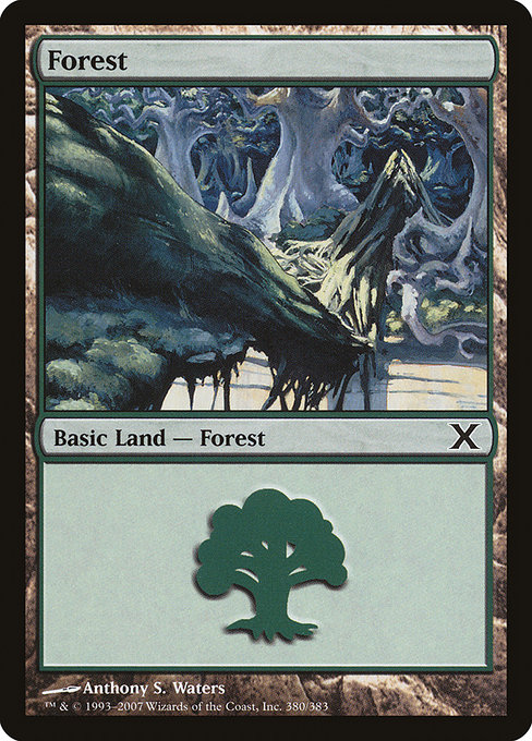 Forest - Tenth Edition Common Card