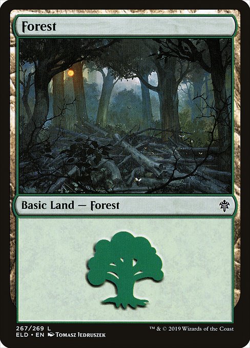 Forest - Throne of Eldraine Common Card