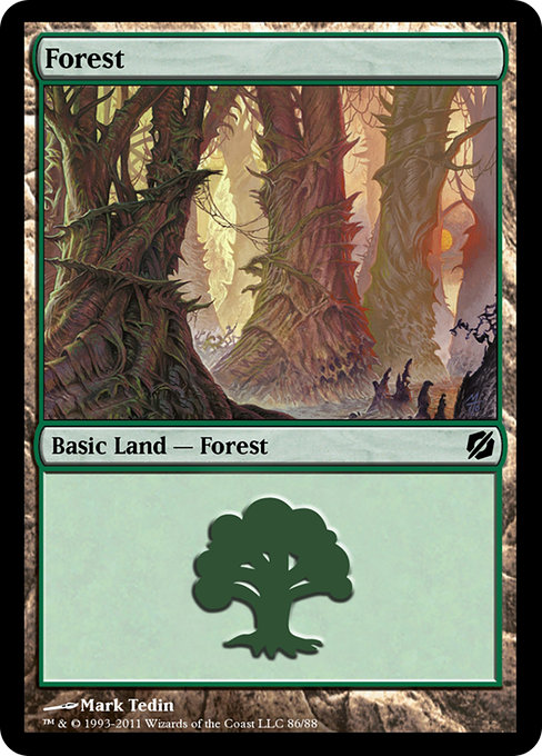 Forest - Duel Decks: Mirrodin Pure vs. New Phyrexia Common Card