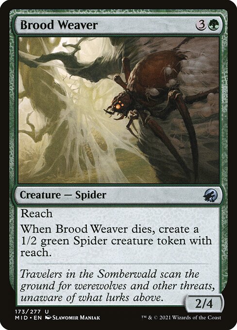Brood Weaver - Innistrad: Midnight Hunt Uncommon Card