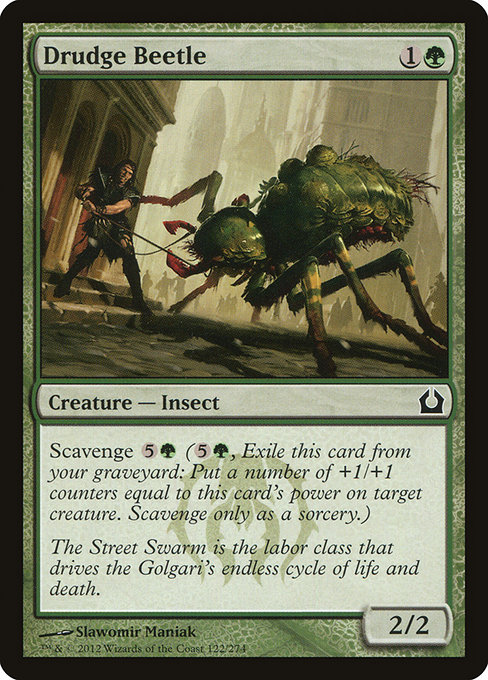 Drudge Beetle - Return to Ravnica Common Card