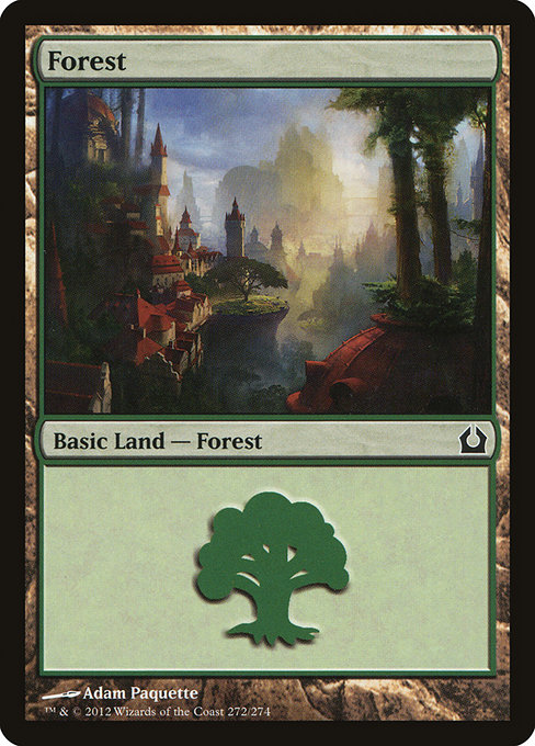 Forest - Return to Ravnica Common Card
