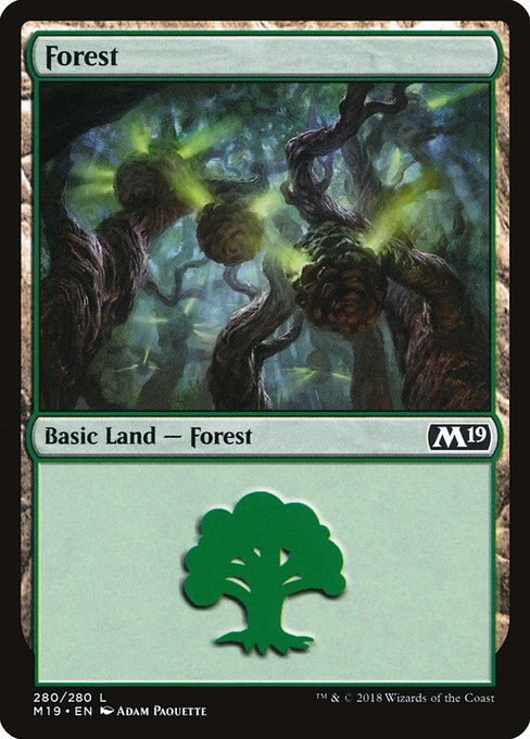 Forest - Core Set 2019 Common Card