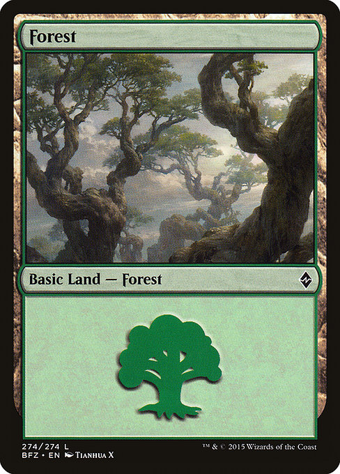 Forest - Battle for Zendikar Common Card