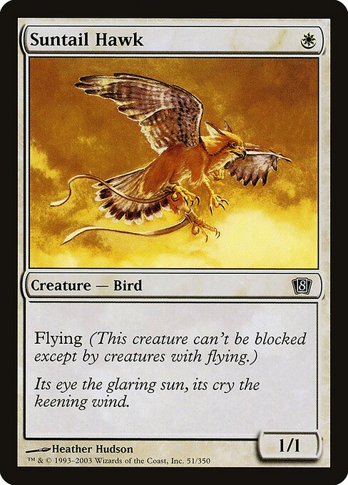 Suntail Hawk - Eighth Edition Common Card