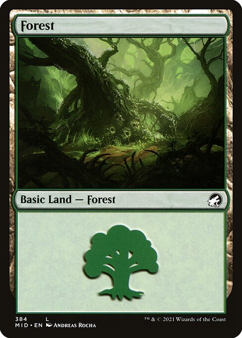 Forest - Innistrad: Midnight Hunt Common Card