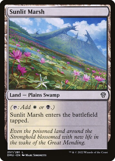 Sunlit Marsh - Dominaria United Common Card