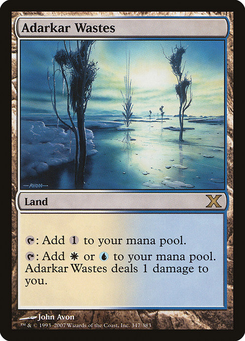 Adarkar Wastes - Tenth Edition Rare Card