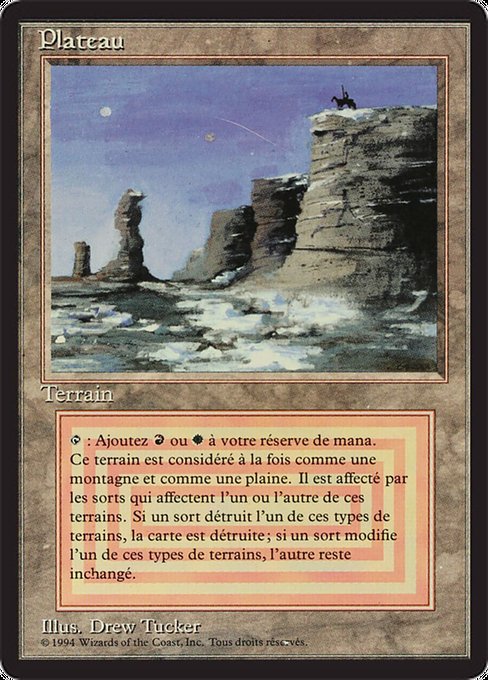 Plateau - Foreign Black Border Rare Card