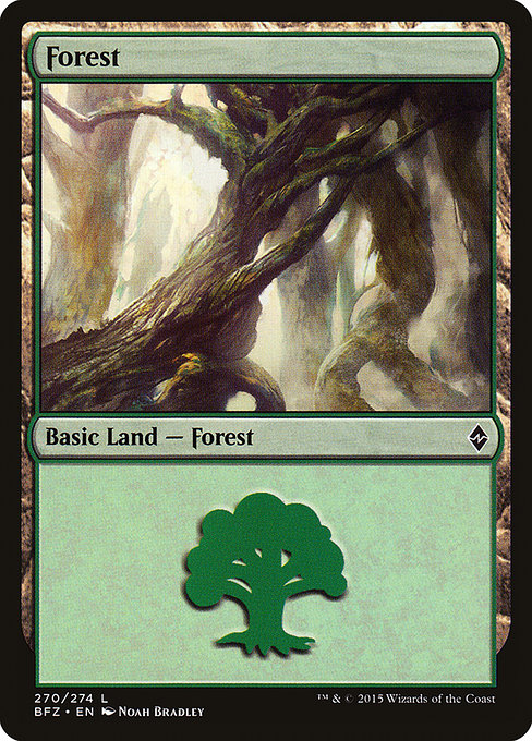 Forest - Battle for Zendikar Common Card